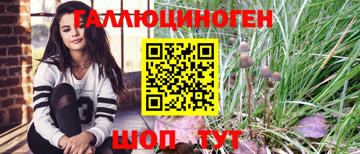 Псилоцибиновые грибы Psilocybine cubensis Белореченск