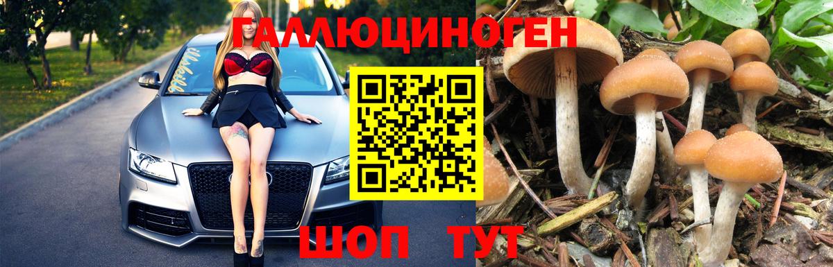 Галлюциногенные грибы ЛСД Белореченск