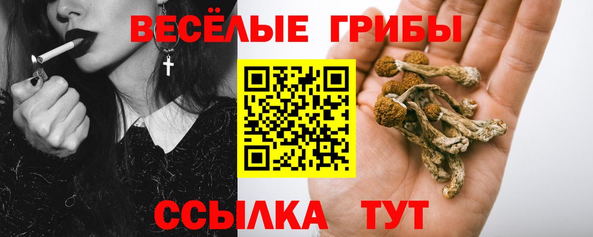 Белореченск  купить наркоту  Вход с VPN  Псилоцибиновые грибы мицелий 